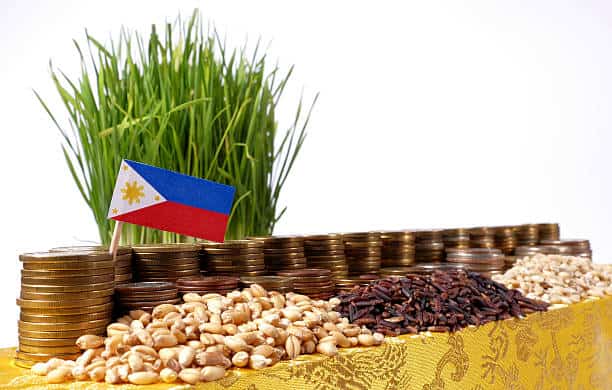 Tariff Relief Sparks Optimism as Philippine Agricultural Exports Gain New Momentum in Global Supply Chains